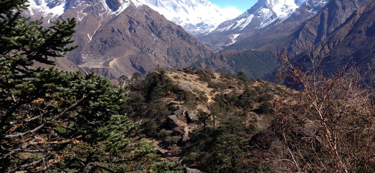 Sherpa village trek