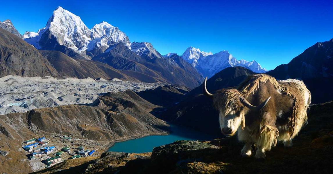 Everest Base Camp via GokyoLake